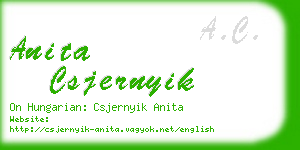 anita csjernyik business card